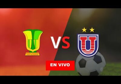 Atletico palmaflor vs universitario de sucre