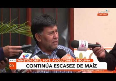 Continúa la escasez de maíz en Bolivia