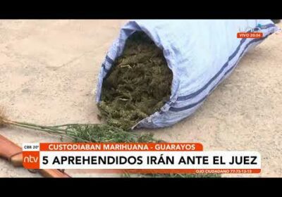 5 aprehendidos custodiar marihuana en Guarayos