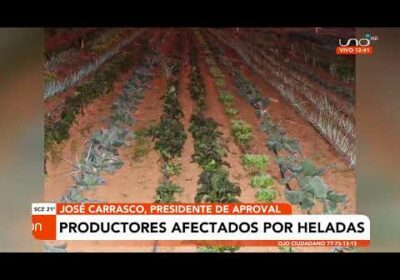 Productores de valles cruceños son afectados por heladas