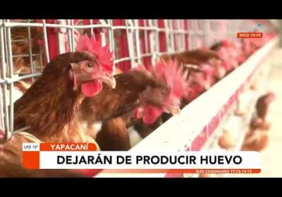 Productores de huevo en Yapacaní se declaran en emergencia