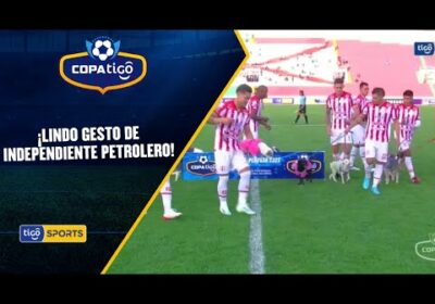 ¡Lindo gesto de Independiente! ingresaron al campo de juego acompañados de un perrito cada uno