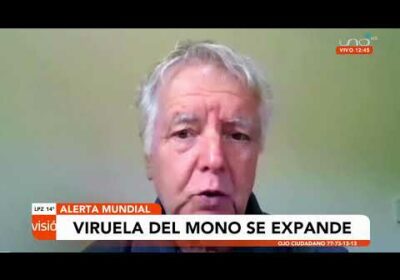 Alerta mundial por la viruela del mono