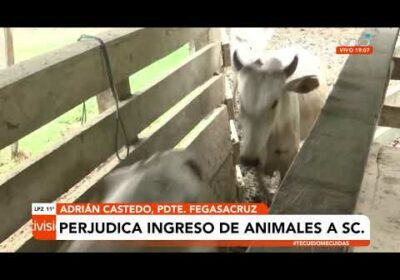 FEGASACRUZ  habla de perdidas a consecuencia de bloqueo en San Julián