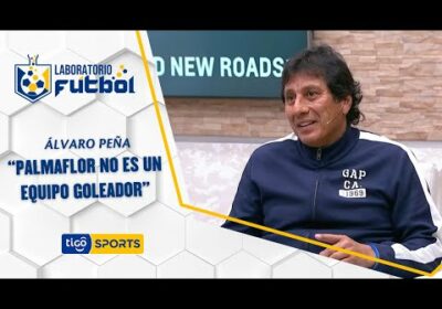 Álvaro Peña: “Palmaflor no es un equipo goleador”.