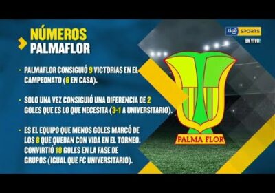 Estos son los números de Palmaflor en este campeonato.