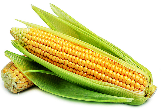 Exigencia de empresarios es parte de un “plan para desestabilizar al Gobierno”