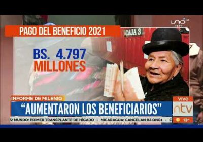 ¿Se reduce el patrimonio de la renta dignidad?.