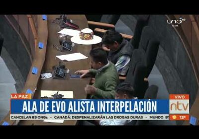 Parlamentarios del M.A.S. anuncian nueva interpelación al ministro Eduardo del Castillo