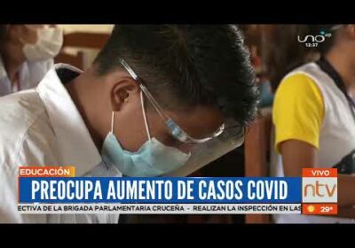 La Dirección Departamental  de Educación analiza a vuelta a clases virtuales