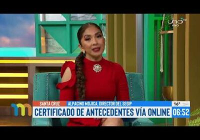 ¿Cómo obtener los antecedentes policiales de manera rápida y fácil desde tu celular?