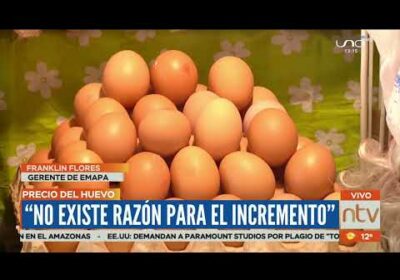 ¿Subirá el precio del huevo? Sector avícola anuncia un posible incremento.