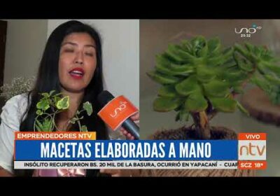 Sucu-Cactus. plantas artesanales ecológicas