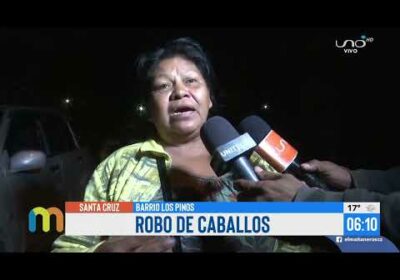 Sorprenden a personas robando caballos en la zona del Cambódromo y pretendían venderlos a Bs. 800