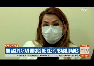 Sectores sociales buscan aplicar ‘Juicio ordinario’ a Jeanine Añez.
