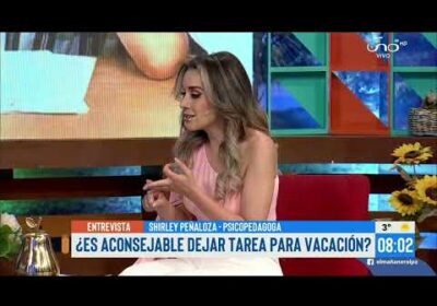 Vacaciones: ¿Se debería dejar tareas? ¿Cómo podría aprovechar un estudiante el tiempo de receso?