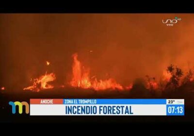 Incendio de magnitud en la zona del aeropuerto El Trompillo causó temor a vecinos del lugar