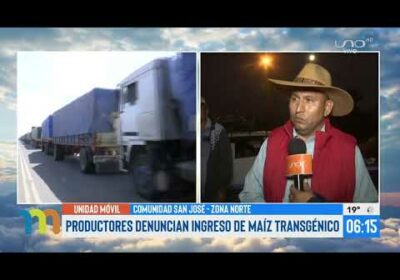 Productores del Norte cruceño denuncian ingreso de maíz transgénico desde Argentina