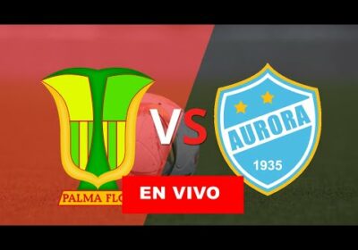 atletico palmaflor vs aurora en vivo