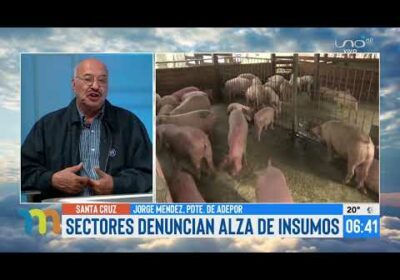 Sectores productivos denuncian alza de precios de insumos