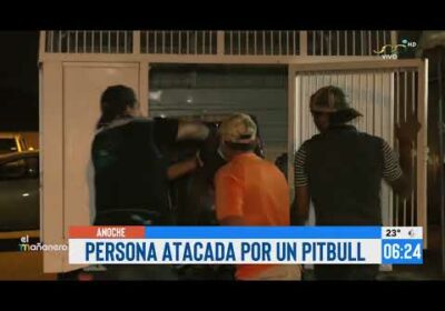 Perro de raza pitbull atacó a su dueño.