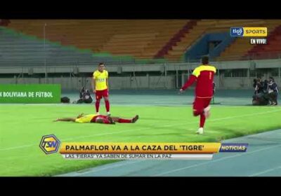 #CopaTigoClausura 🏆Palmaflor va a la caza del ‘Tigre’. Las ‘Fieras’ ya saben de sumar en La Paz.