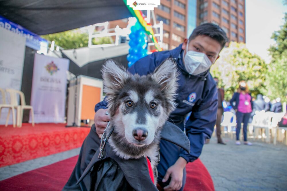 Inicia campaña antirrábica con la meta de cubrir el 85% de mascotas a escala nacional