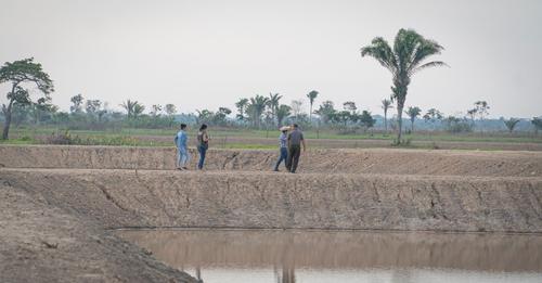 Entregan 21 pozas para incrementar e incentivar la producción de pacú en Yapacaní