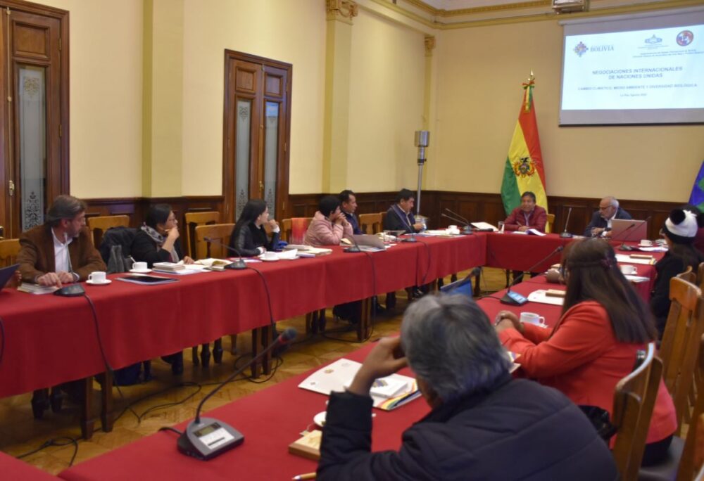Vicepresidencia insta a supraestatales fortalecer defensa de Bolivia por la Madre Tierra