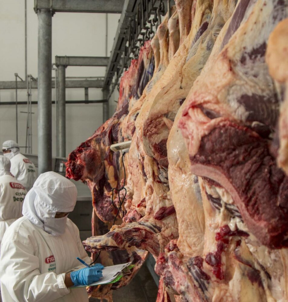 Frigoríficos bajan Bs 2 al precio del kilo gancho de la carne de res y el Gobierno garantiza abastecimiento