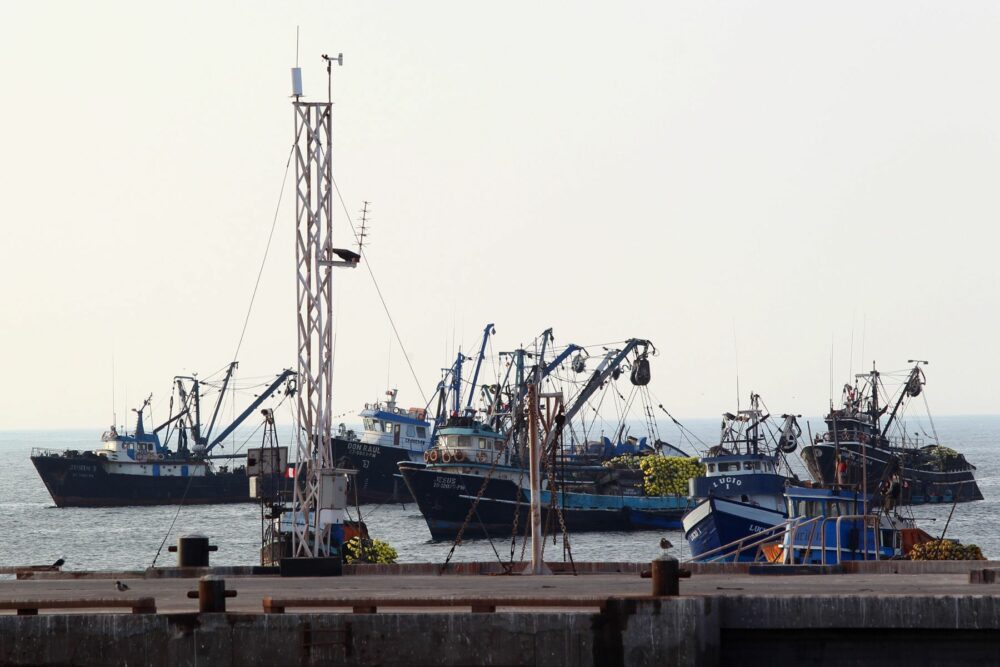 Autoridades de Ilo explicarán en La Paz y Santa Cruz oferta portuaria a exportadores bolivianos