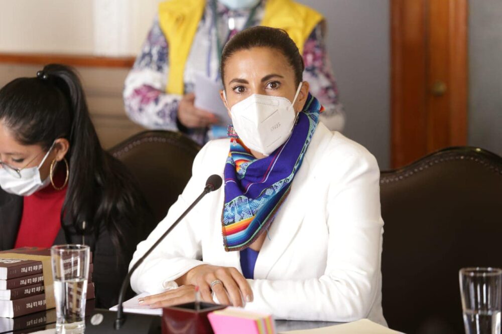 Concejal denuncia que el POA 2023 reduce presupuesto para salud, educación y prevención de riesgos