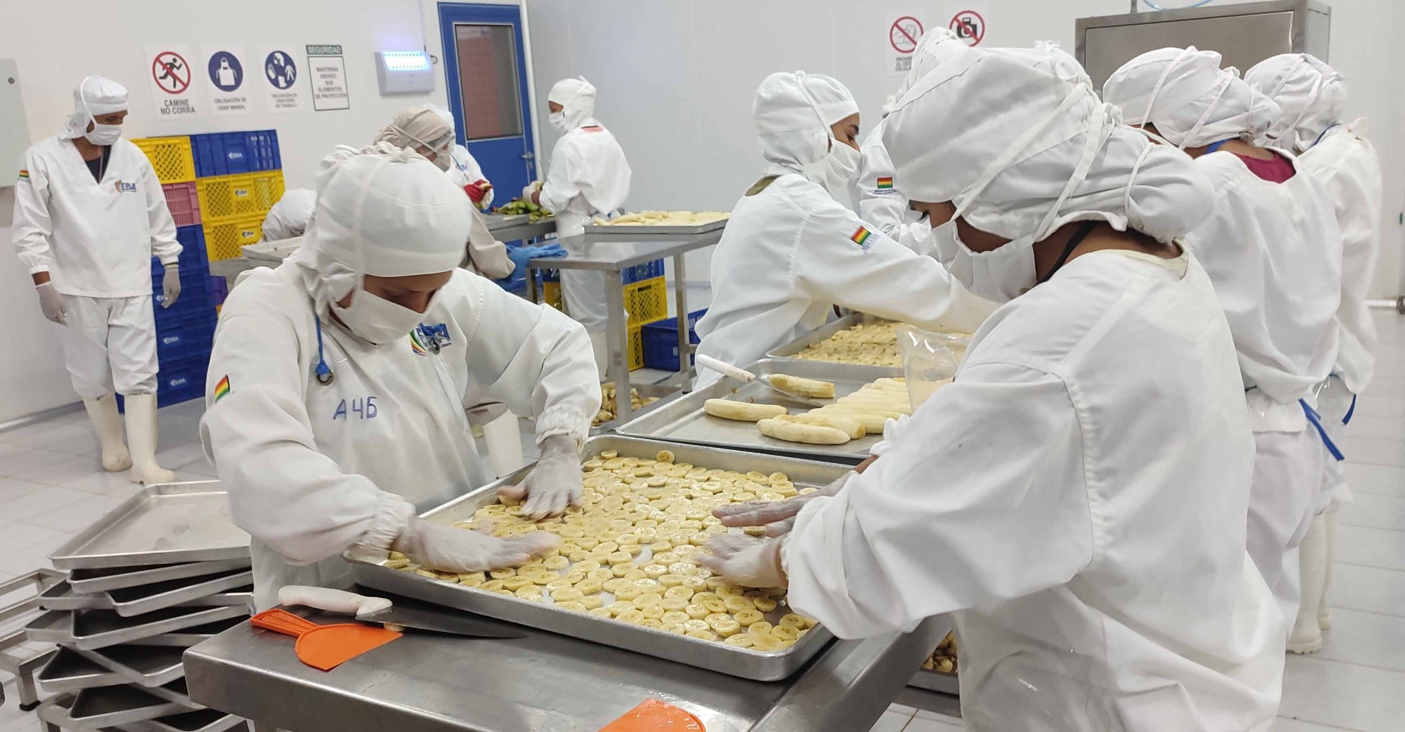 El Estado invirtió Bs 501 millones en 11 plantas industriales en Cochabamba, destaca Arce