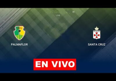 atletico palmaflor vs real santa cruz en vivo