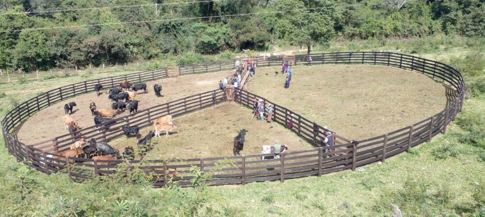 El Gobierno identifica dos comunidades guaraníes en condiciones de “semiesclavitud”