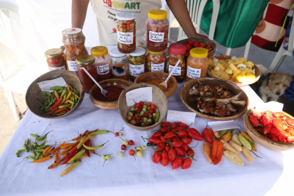 Una paceña y una beniana ganan el primer LlaqwArt 2022