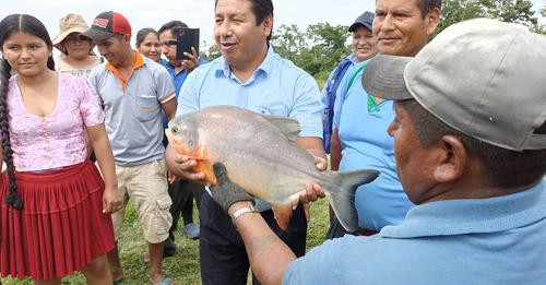 Puerto Villarroel busca potenciar el tambaquí a nivel nacional
