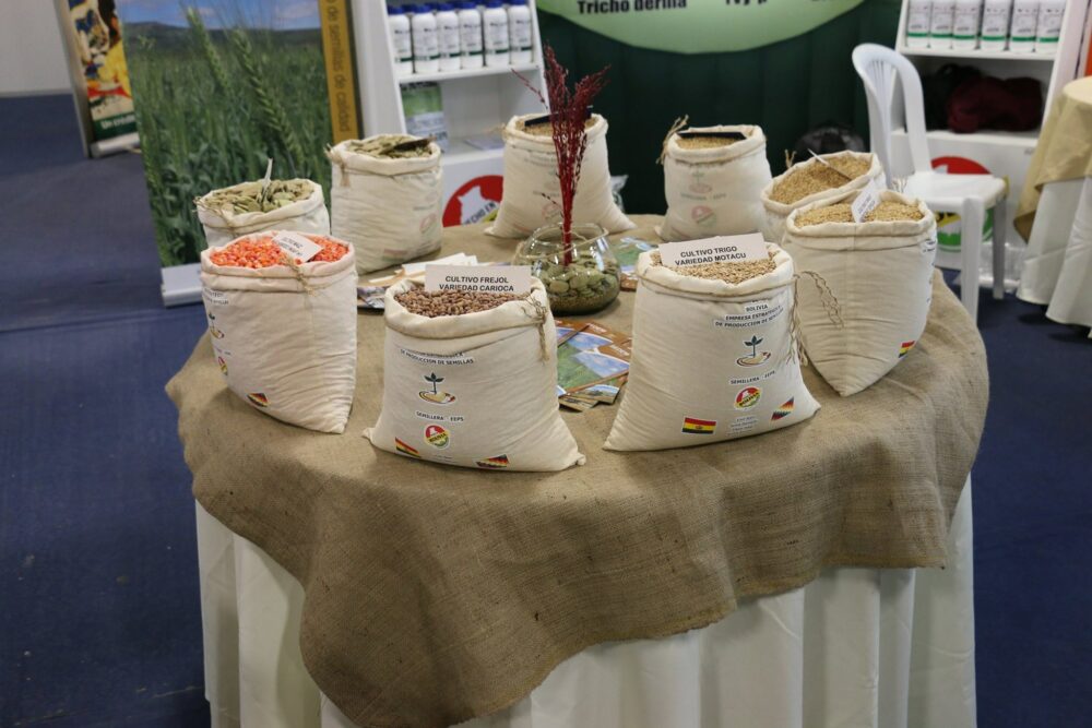 Empresa de semillas inyecta Bs 26.000 por compra de materia prima y genera 140 puestos de empleo