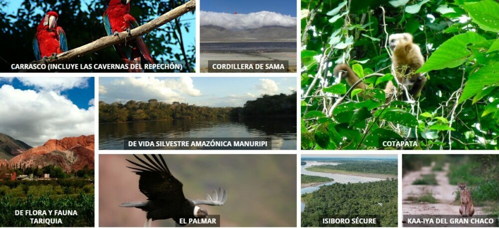 El Sernap cumplirá 25 años de creación al servicio de la protección de 22 Áreas Protegidas