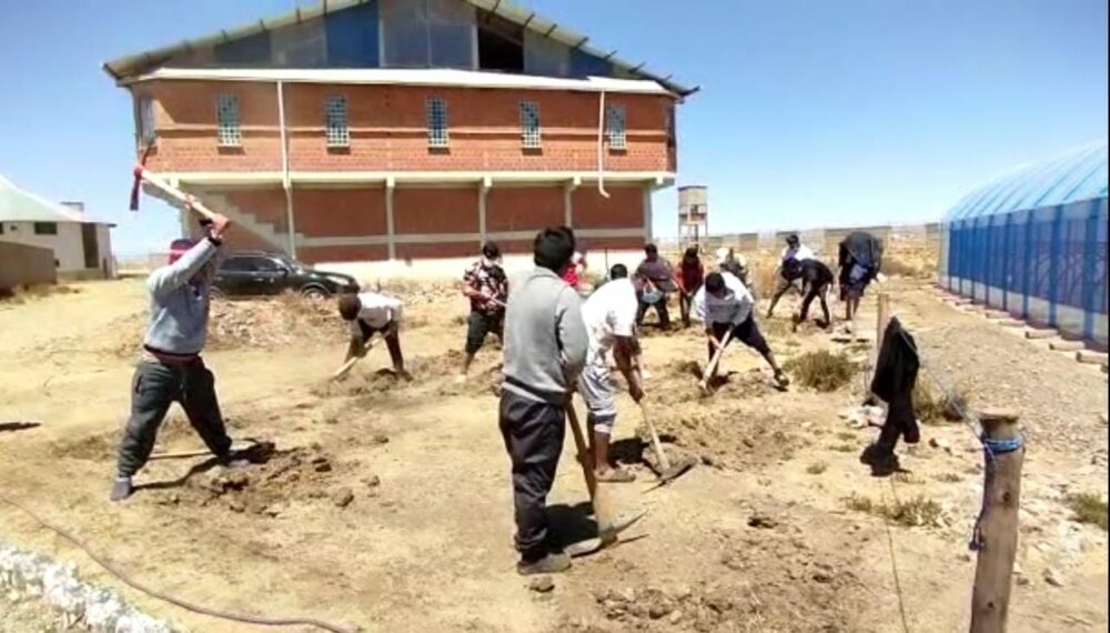 Privados de libertad construyen viveros subterráneos en Chonchocoro y Qalahuma