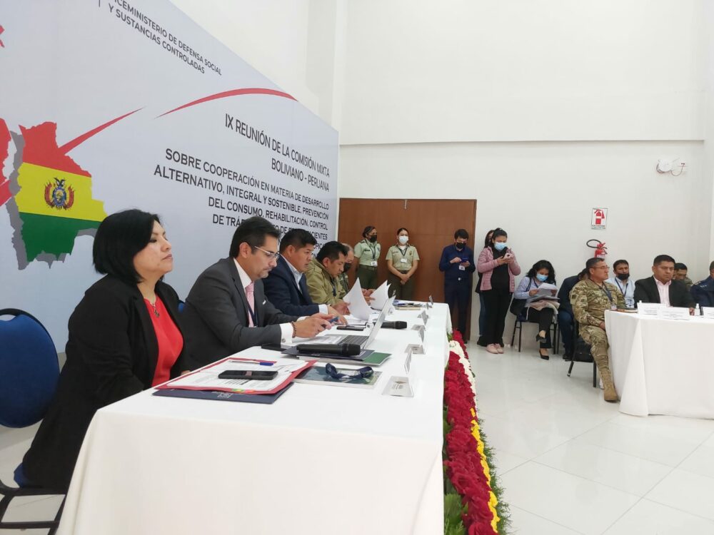 Bolivia y Perú coordinan acciones en frontera contra el narcotráfico 