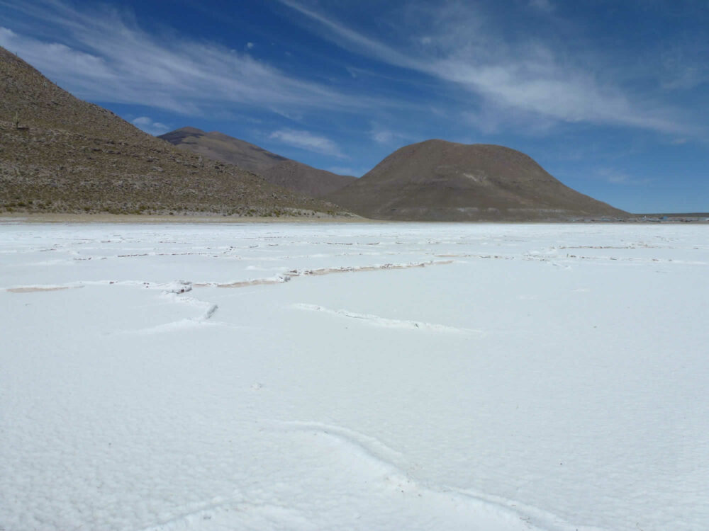 Expertos nacionales e internacionales participarán en el primer Simposio del Lito en Oruro