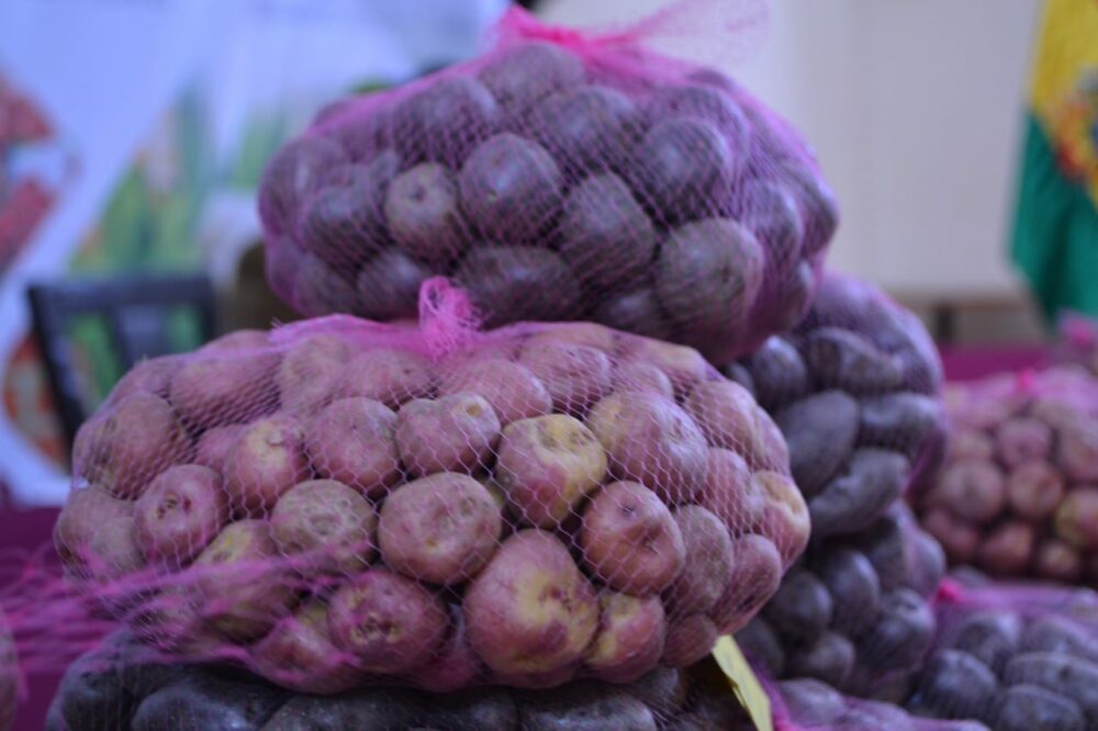 Precios de la carne de res y de la papa se mantienen en el eje central, reporta el Observatorio Agroambiental