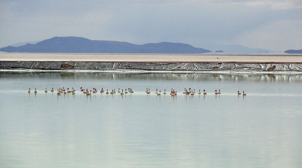 YLB proyecta que la industria del litio tendrá un crecimiento constante al menos hasta 2030