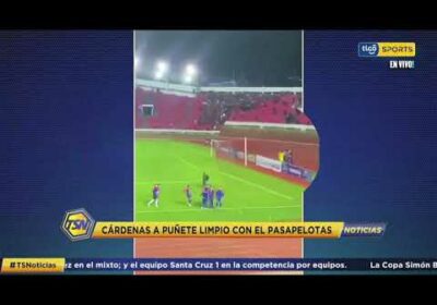 Cárdenas a puñete limpio con el pasapelotas.