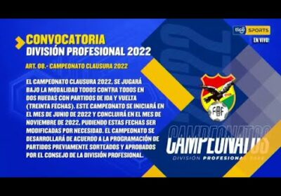 Articulo 8 de la convocatoria de la división profesional 2022.