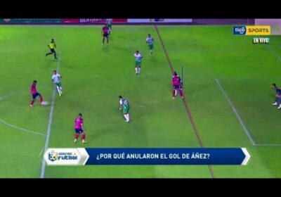 ¿Por qué anularon el gol de Añez?