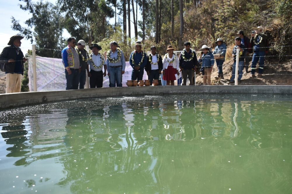 Gobierno invierte más de Bs 1 millón en sistemas de riego para incrementar la producción de papa en Cochabamba