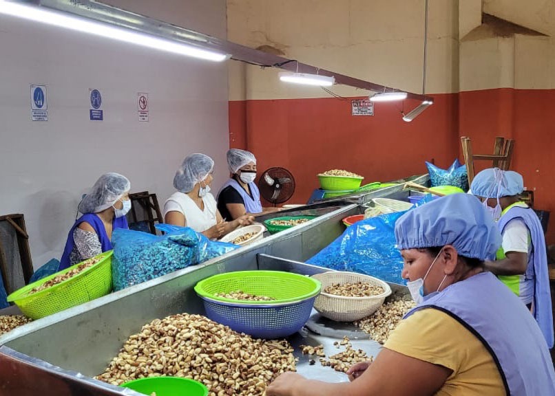 Gobierno fortalece el empoderamiento económico de las mujeres con acceso a crédito, propiedad de la tierra y bonos