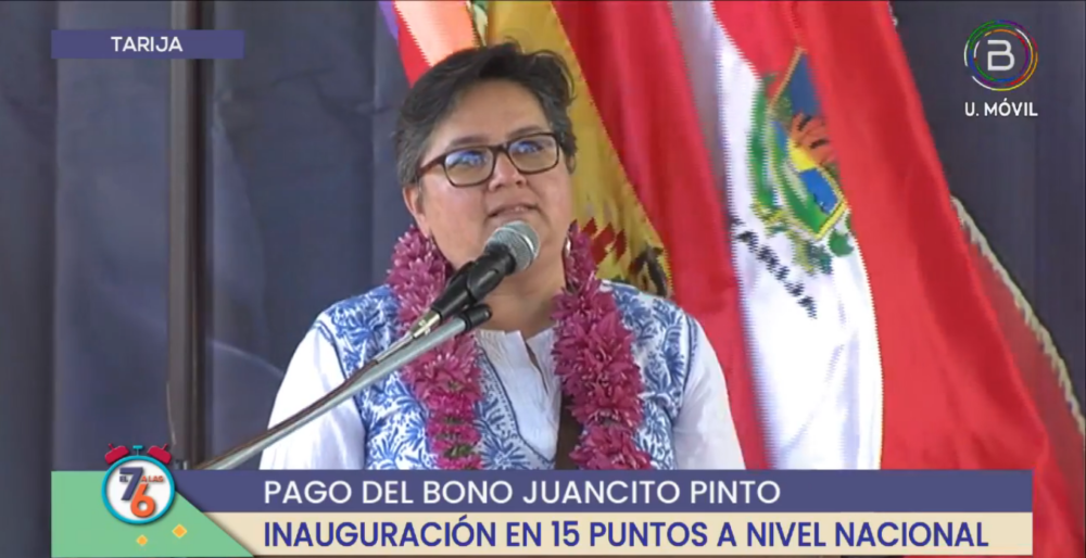 Navía: El país debe trabajar para garantizar estabilidad y bonos sociales